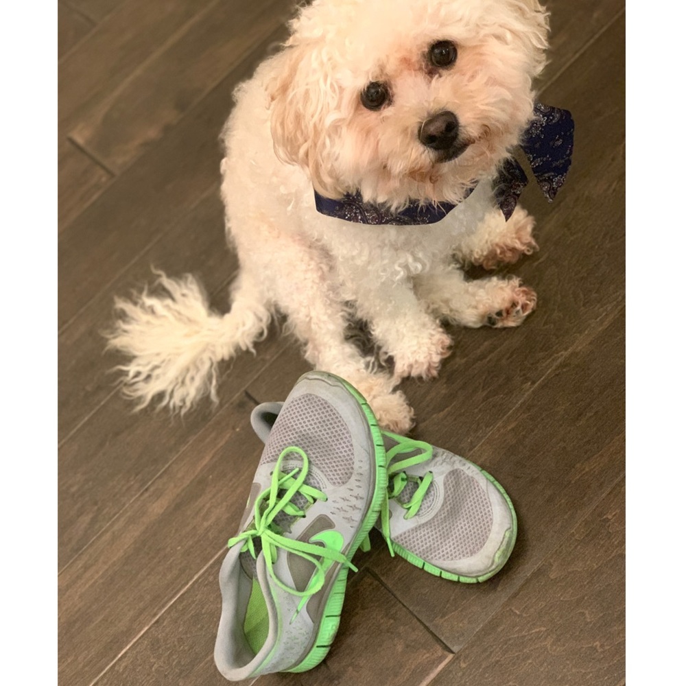 Nike free run 3 👟👟